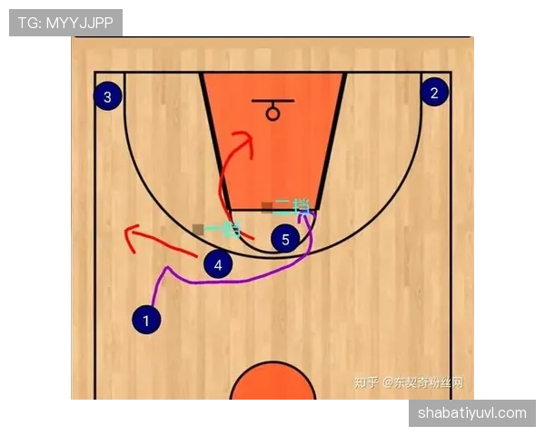 哈基姆挡拆改变内线攻防节奏 历史数据显著领先同位置对手