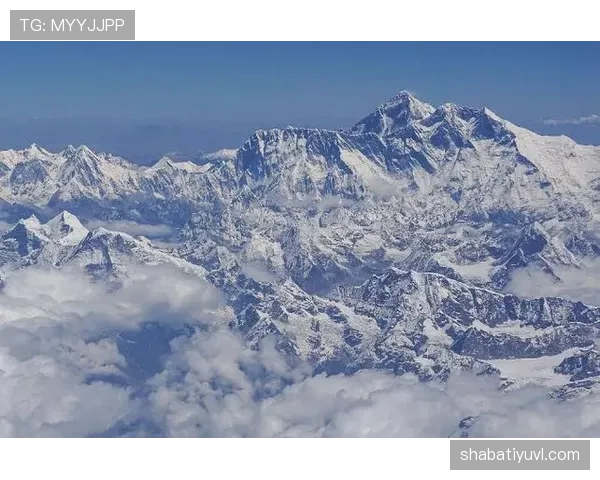无球跑动拉开外线，特伦特比上季更致命