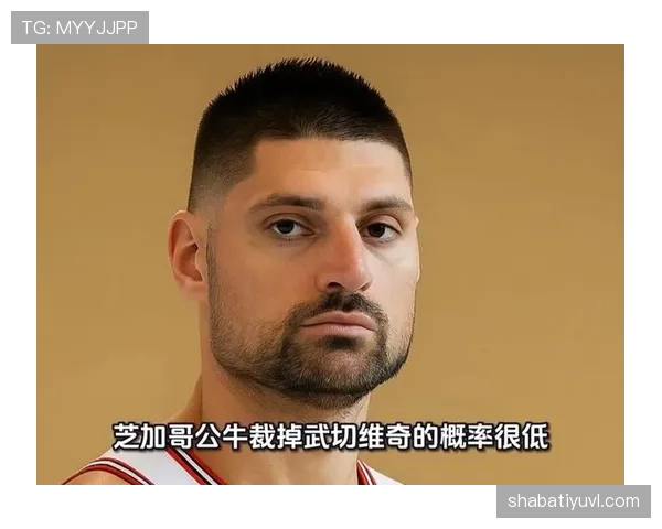 武切维奇挡拆制造错位提升内线效率较上季更稳