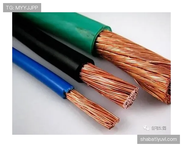 线内线外判罚标准大揭秘：裁判如何精准判定边界？