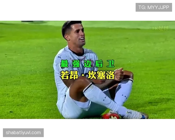 若昂·坎塞洛：葡萄牙国家队主力边后卫