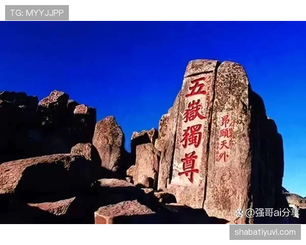 山东泰山进攻围绕克雷桑展开，体系是否受限？