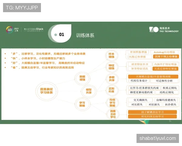 视频回放判罚规则如何理解与适用要点全面详解